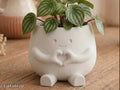 Quirky vase | Planter for home decor Gifting